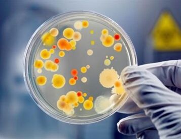 Bakterid võivad põhjustada kroonilist prostatiiti