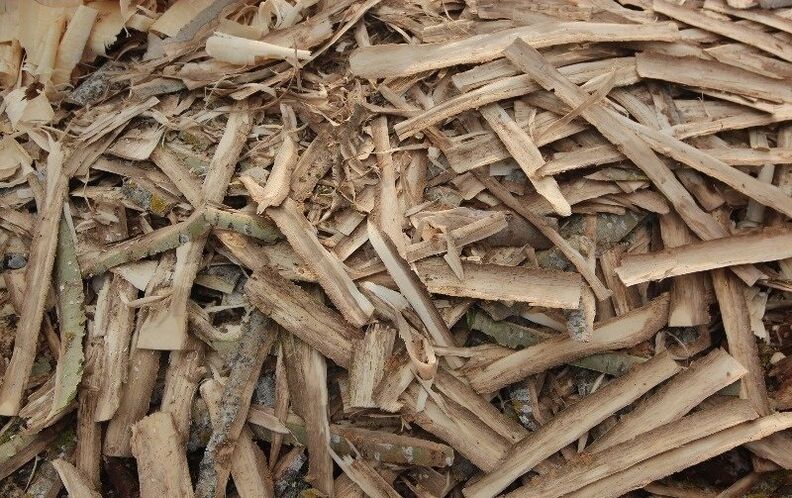 haavapuu koor prostatiidi jaoks