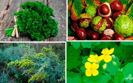 ravimtaimed prostatiidi raviks